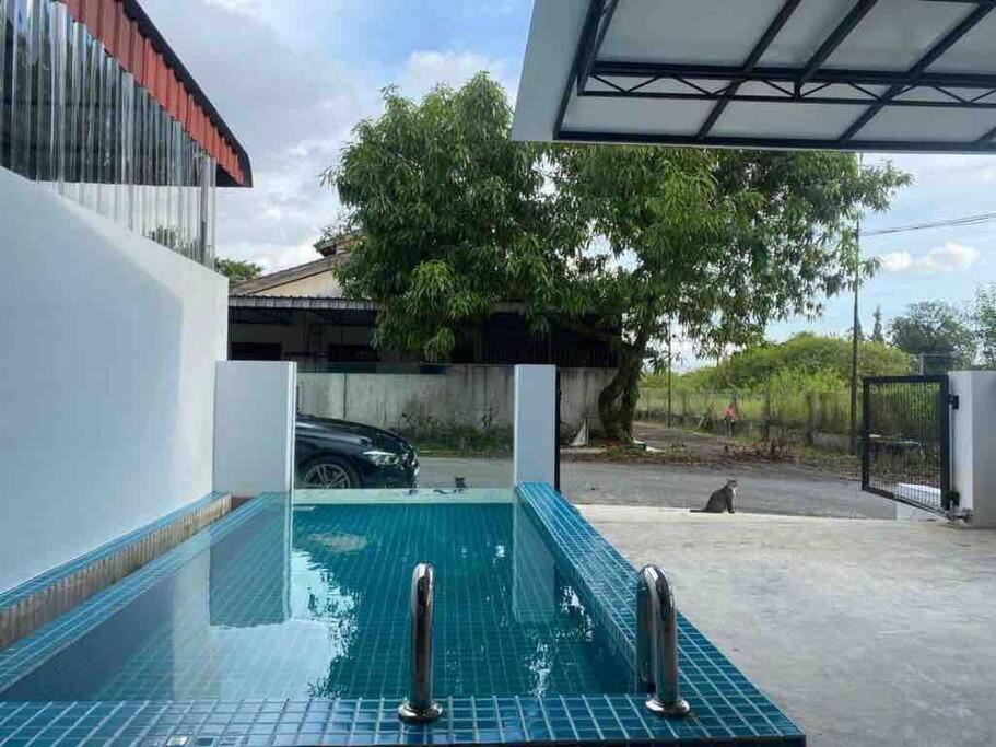 Zen Retreat Glass Pool Villa Tajping Kültér fotó